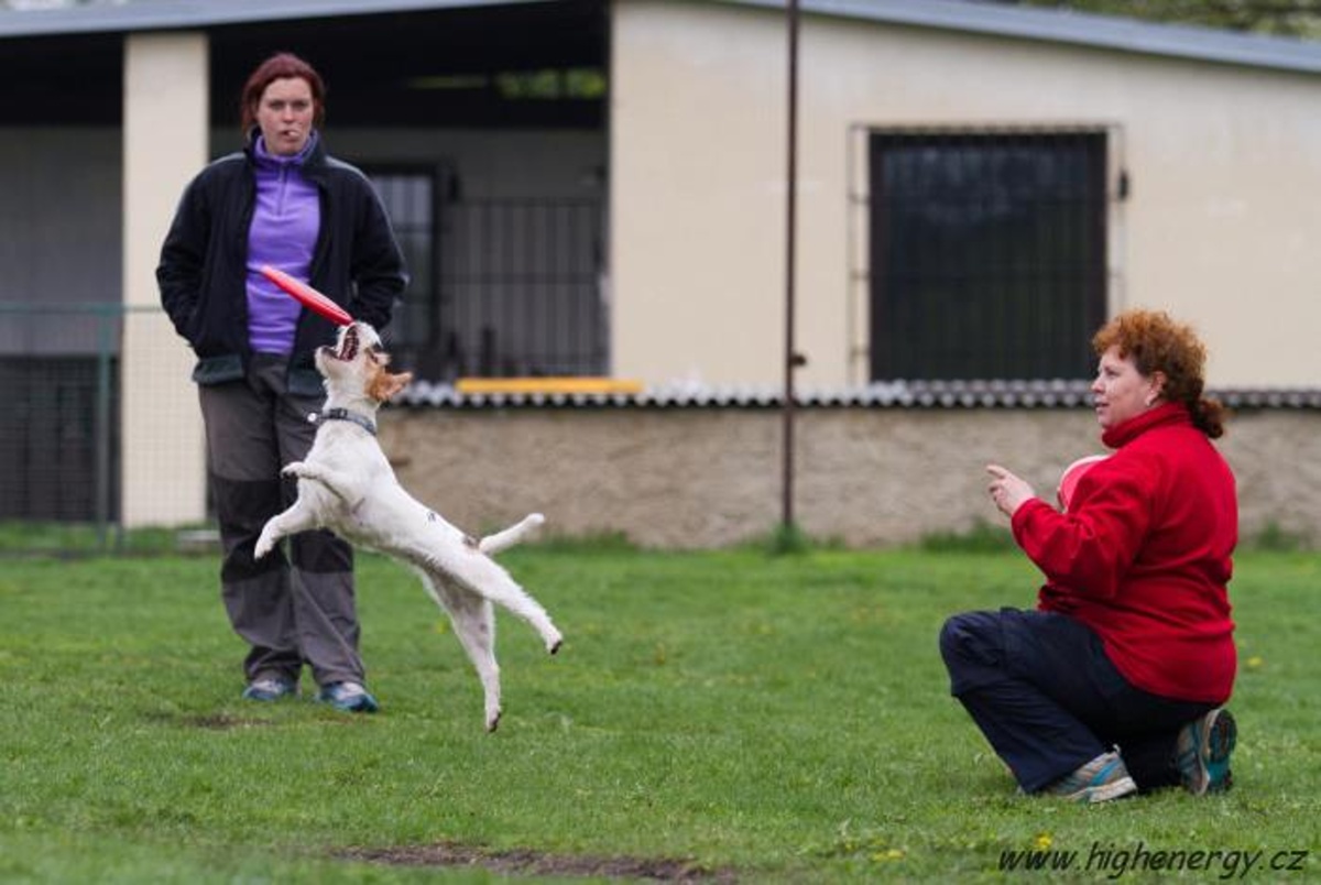 Seminář Frisbee